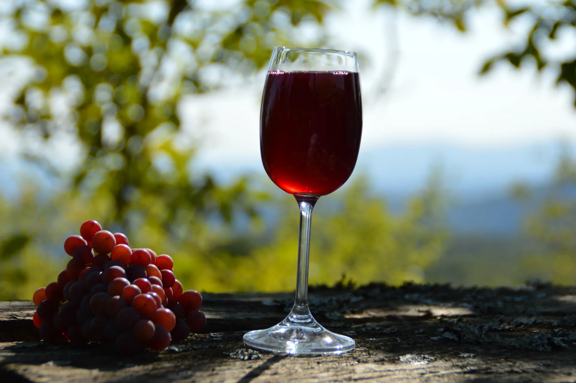 Georgian wine glass and grapes in a vineyard